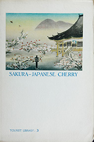 Sakura - Japanese Cherry