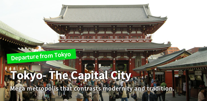 Tokyo- The Capital City　Mega metropolis that contrasts modernity and tradition.