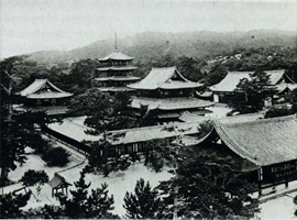 Bird's eye view of Horyuji temple