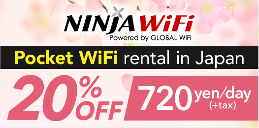 VisionWiFi