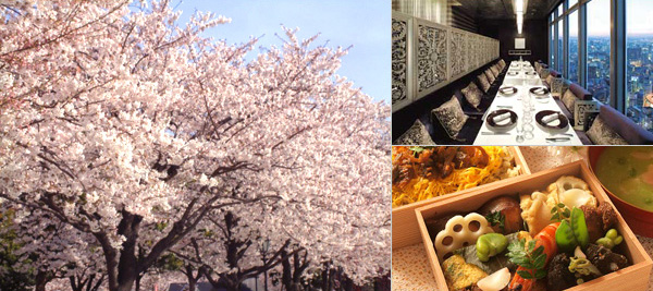 Cherry Blossoms & Gourmet Tour of Tokyo