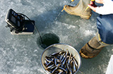 Ice Fishing