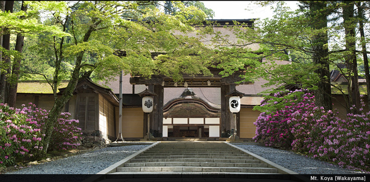 Mt. Koya [Wakayama]