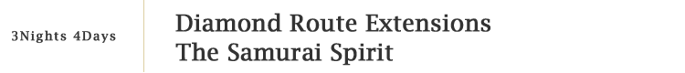 Diamond Route Extensions The Samurai Spirit