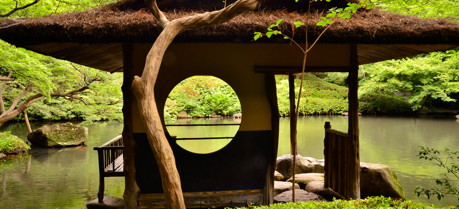 Tea Ceremony Experience at a Zen Temple