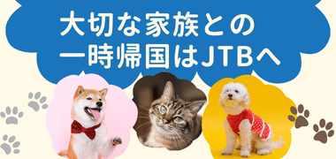 Fly with your pets