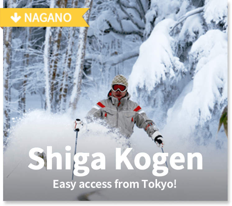 Shiga Kogen