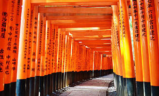 Tours in Kyoto & Nara