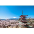 Indulge in the perfect blend of World Heritage wonders and seasonal culinary delights (4days/3nights)