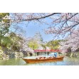 Charm of Western Japan: Osaka, Wakayama, Nara, Kyoto & Hyogo (9days/8nights)